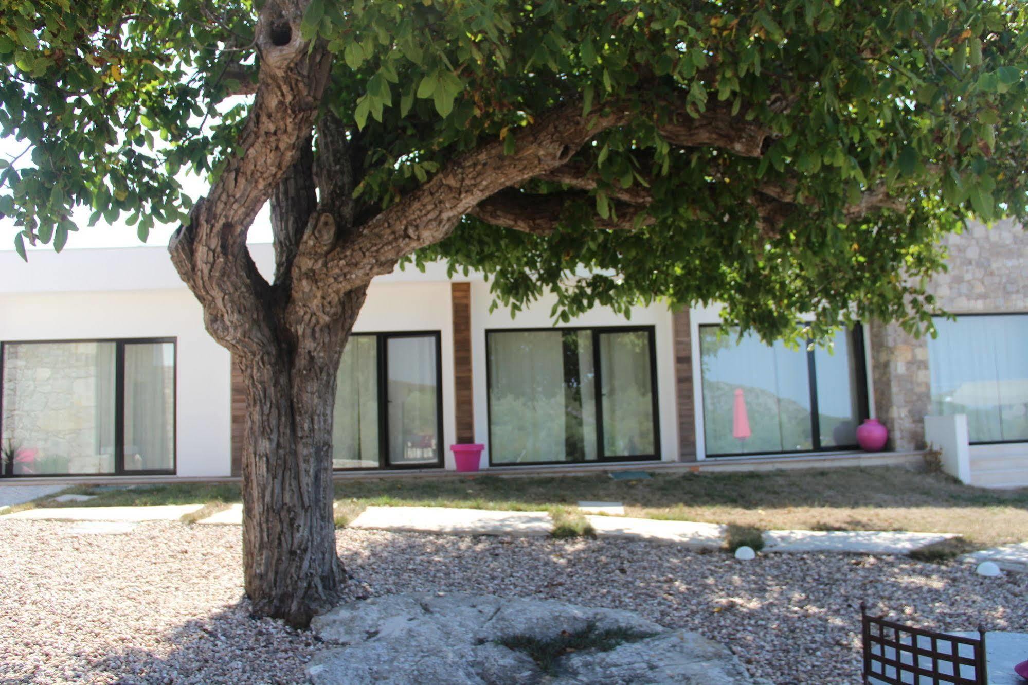 Casa Boho - Turismo Rural Alvados Exterior foto